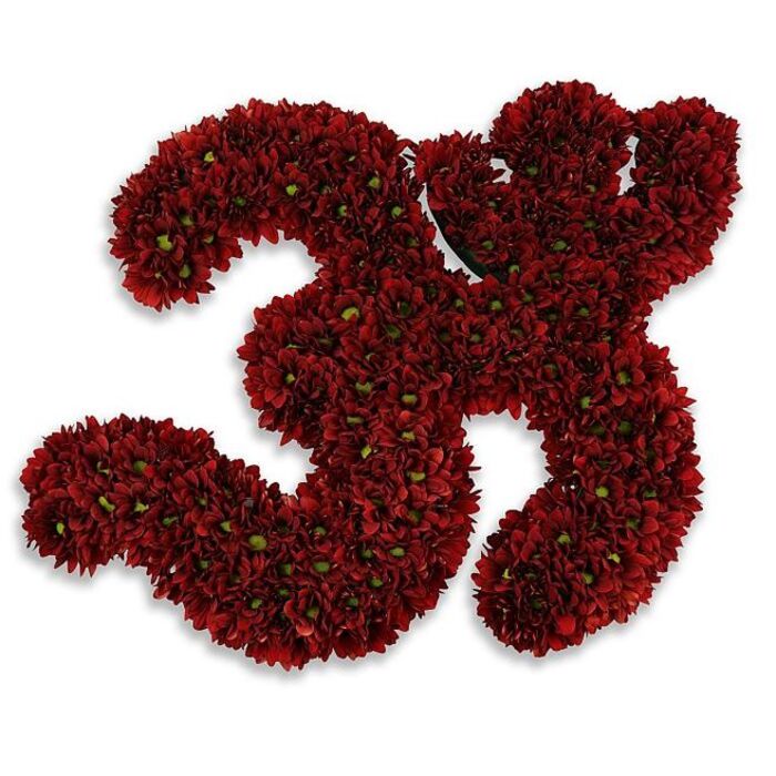 A vivid, meticulously executed floral sculpture forms the number '33' in this image, every inch covered by tightly packed, small chrysanthemum blooms in a saturated burgundy-to-crimson palette. The numerals are dense and substantial, built from hundreds of button-like flower heads whose tiny, layered petals create a plush, velvet-textured surface. Scattered green centres-those tiny disc florets that sit at the heart of each chrysanthemum-provide delicate contrast and bring a living sparkle to the mass of red, breaking the colour in a way that reads both natural and intentionally composed. The bouquet-turned-number sits against an immaculate white field, and a soft grey shadow beneath the form suggests a slight elevation that lends sculptural depth and a gentle floating quality. This arrangement balances celebration and dignity, equally at home as a joyful anniversary piece for a 33rd birthday or as a solemn commemorative tribute-its presence has the weight of meaning without being ornate. Crafted locally in our Denmark Hill workshop, the design reflects the neighbourhood's quiet confidence, familiar to those who pass Ruskin Park or board trains at Denmark Hill station, and is suitable for events and memorials around Camberwell and Herne Hill. The scent would be faintly earthy and floral, typical of fresh mums, while the touch would feel soft yet dense-a reassuring solidity in floral form. It reads as both a statement and a keepsake, a number shaped with care by experienced hands and intended to hold significance for the recipient or the occasion.
